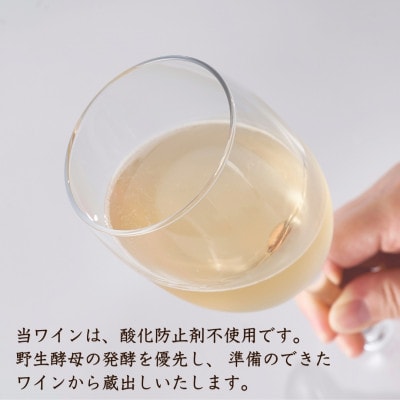 新潟産弥彦ブリューイング白泡2024年(果実酒:発泡性)750ml
