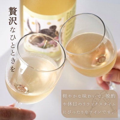 新潟産弥彦ブリューイング白泡2024年(果実酒:発泡性)750ml