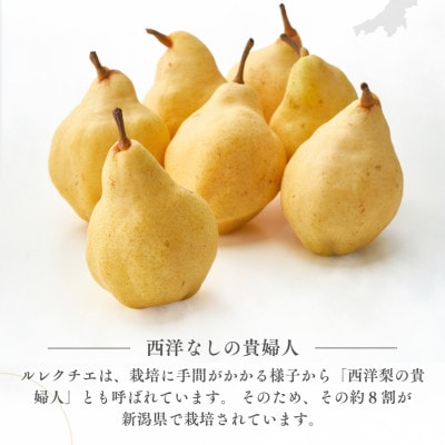 弥彦産“西洋なしの貴婦人”ルレクチエ　6～8玉(3kg) 新潟県 弥彦村