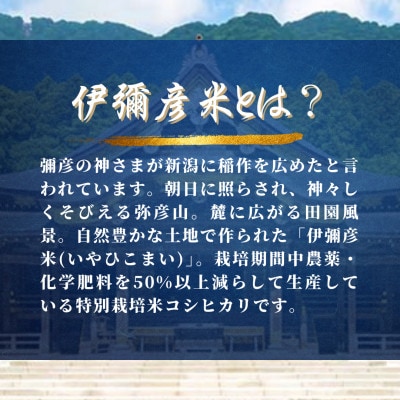 【彌彦神社奉納祭献上】「伊彌彦米」令和6年産特別栽培米弥彦コシヒカリ 新潟県 弥彦村