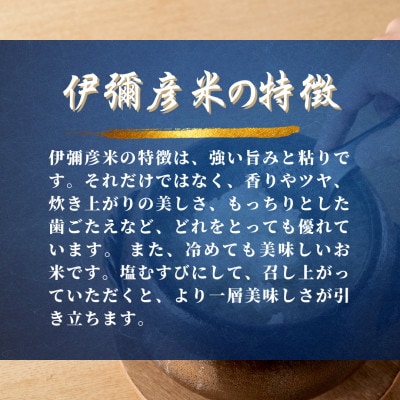 【彌彦神社奉納祭献上】「伊彌彦米」令和6年産特別栽培米弥彦コシヒカリ 新潟県 弥彦村