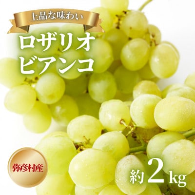 【上品な味わい】弥彦村農家のこだわりの逸品「ロザリオビアンコ」 約2kg ぶどう 新潟県 弥彦村
