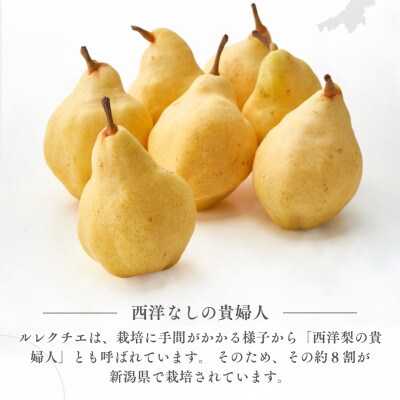 弥彦産“西洋なしの貴婦人”ルレクチエ　5～7玉(2kg) 新潟県 弥彦村