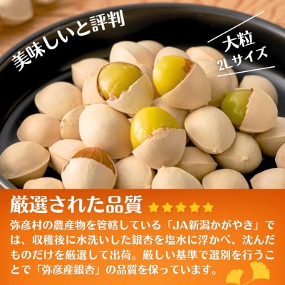 【10月末以降発送開始】弥彦村産「ぎんなん」弥彦ギンちゃん 600g 新潟県 おつまみ