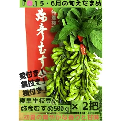 2022年6月発送開始『定期便』春夏秋。旬の弥彦枝豆堪能セット(枝付き1回、もぎ枝豆×2回)全3回