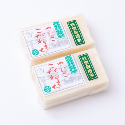 【令和4年産・新潟県特別栽培】こがねもち「切り餅」1kg