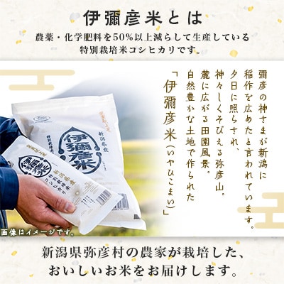 【2025年1月発送】令和6年産　皇室献上米「伊彌彦米」2018年皇室献上米10kg(5kg×2袋)