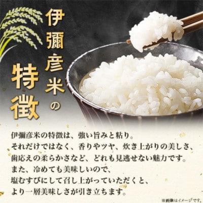 【伊彌彦米と伊彌彦醤油セット】(白米2kg×2袋・醤油500ml×1本) ブランド米 新潟県 弥彦村