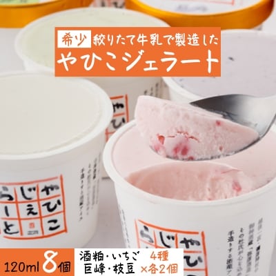 【希少】絞りたて牛乳で製造した『やひこジェラート』酒粕 いちご 巨峰 枝豆 新潟県 弥彦村