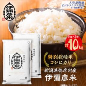 【新米受付】令和5年産 新潟県産 特別栽培米 コシヒカリ 「伊彌彦米」 10kg