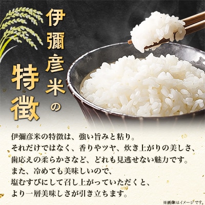 新米受付】令和5年産 新潟県産 特別栽培米 コシヒカリ 「伊彌彦米 ...