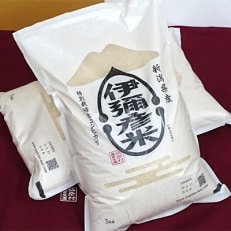 令和4年産　特別栽培米コシヒカリ「伊彌彦米」30kg