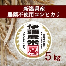 令和4年産　新潟県産　栽培期間中農薬不使用　コシヒカリ　「伊彌彦米　零(ぜろ)」5kg