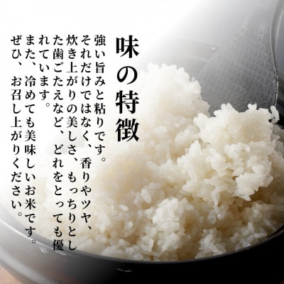 【お試し】令和7年産 特別栽培米コシヒカリ「伊彌彦米」精米 3kg 新潟県産弥彦村