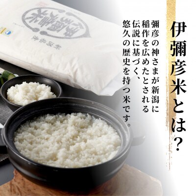 【毎月定期便】特別栽培米コシヒカリ「伊彌彦米」新潟県 弥彦村産 白米 5kg全6回