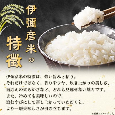【毎月定期便】特別栽培米コシヒカリ「伊彌彦米」10kg全6回