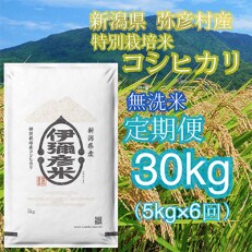 【毎月定期便】特別栽培米コシヒカリ「伊彌彦米」無洗米5kg全6回