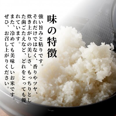 【毎月定期便】特別栽培米コシヒカリ「伊彌彦米」無洗米 新潟県 弥彦村産 10kg全3回