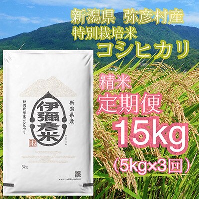 【発送月固定定期便】〈2024年10月より順次発送〉特別栽培米コシヒカリ「伊彌彦米」5kg全3回