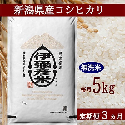 2023年2月発送開始『定期便』【令和4年産】特別栽培米コシヒカリ「伊彌彦米」無洗米5kg全3回