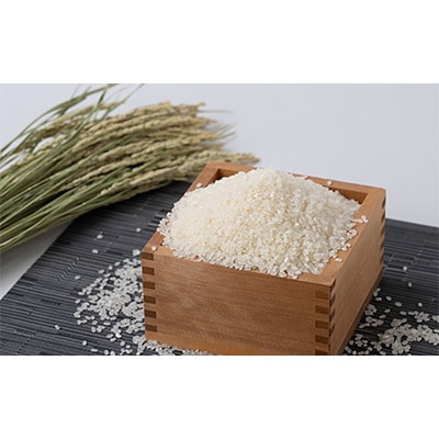 令和5年産新潟県弥彦村こしいぶき(12kg)5kg×2・2kg