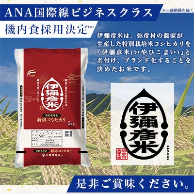 令和6年産特別栽培米コシヒカリ「伊彌彦米」10kg  ブランド米 新潟県 弥彦村