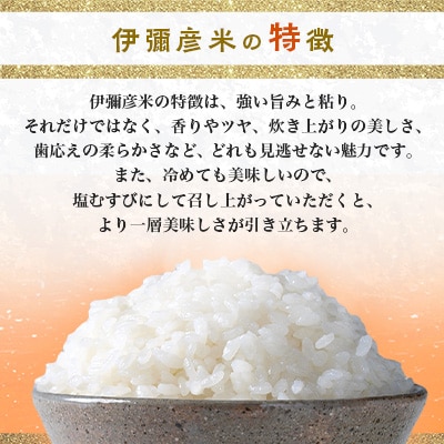 令和6年産特別栽培米コシヒカリ「伊彌彦米」10kg  ブランド米 新潟県 弥彦村
