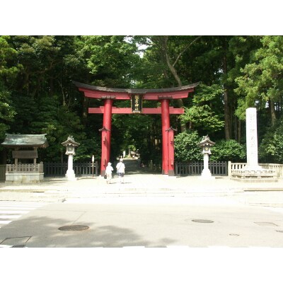 弥彦温泉ご利用補助券 3,000円分