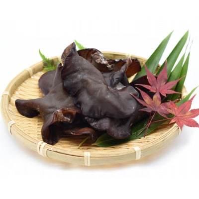 新潟県弥彦村産　越のうさぎ 生きくらげ(250g×4パック)