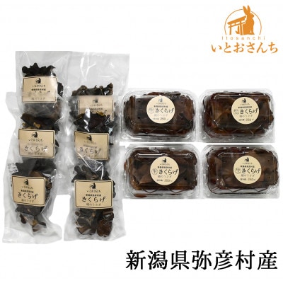 新潟県弥彦村産　越のうさぎ 　生きくらげ250g×4、乾燥きくらげ25g×6　詰め合せセット