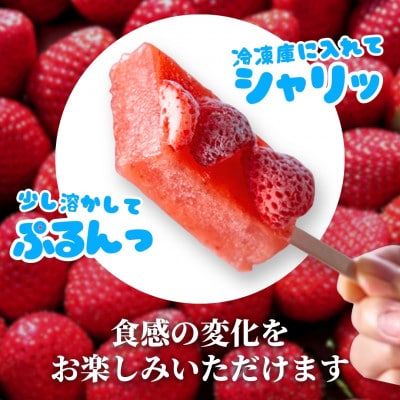 【ル・ラパン】弥彦産越後姫の葛フルーツバー 10本セット ブランドいちご使用 新潟県 弥彦村