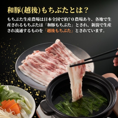 越後もちぶたロース薄切り1kg(500g×2パック)