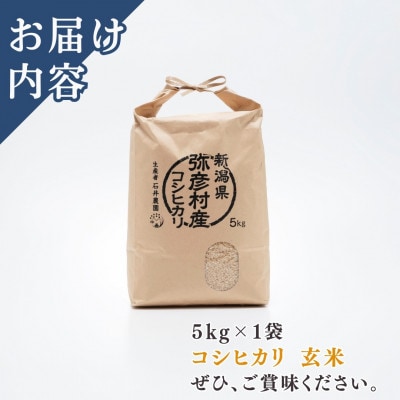 新潟県弥彦村石井農園　令和7年産コシヒカリ【玄米 5kg】