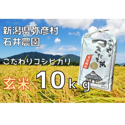 新潟県弥彦村石井農園　令和7年産コシヒカリ【玄米 10kg】