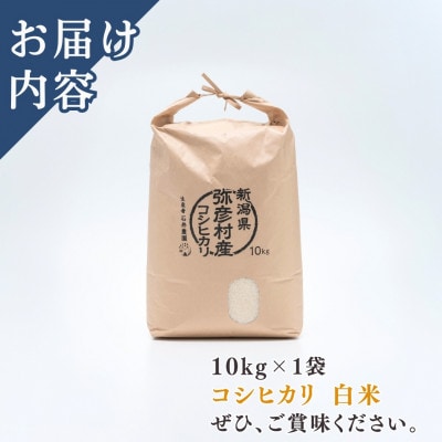 【令和8年産 新米受付】新潟県弥彦村石井農園　コシヒカリ【白米 10kg】