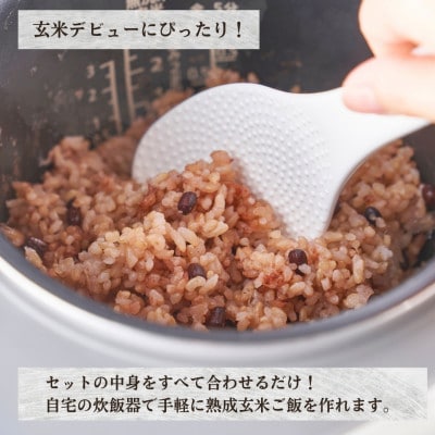 お家で簡単!【 熟成玄米ご飯(酵素玄米) 】手作りセット　3合パック×6個　新潟県弥彦村産コシヒカリ