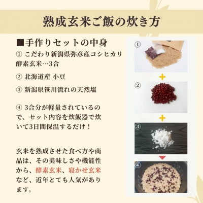お家で簡単!【 熟成玄米ご飯(酵素玄米) 】手作りセット　3合パック×6個　新潟県弥彦村産コシヒカリ
