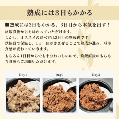 お家で簡単!【 熟成玄米ご飯(酵素玄米) 】手作りセット　3合パック×6個　新潟県弥彦村産コシヒカリ