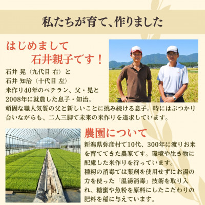 お家で簡単!【 熟成玄米ご飯(酵素玄米) 】手作りセット　3合パック×4個　新潟県弥彦村産コシヒカリ