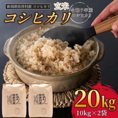新潟県弥彦村石井農園　令和7年産 コシヒカリ【玄米 20kg】