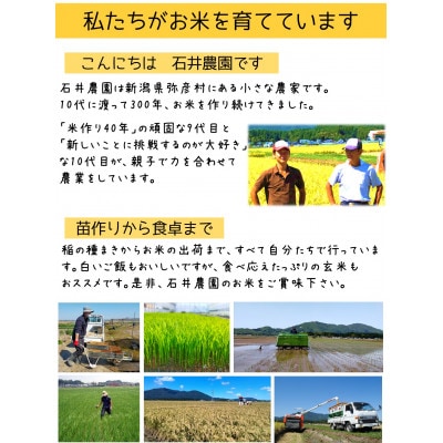 新潟県弥彦村石井農園　令和7年産 コシヒカリ【玄米 20kg】