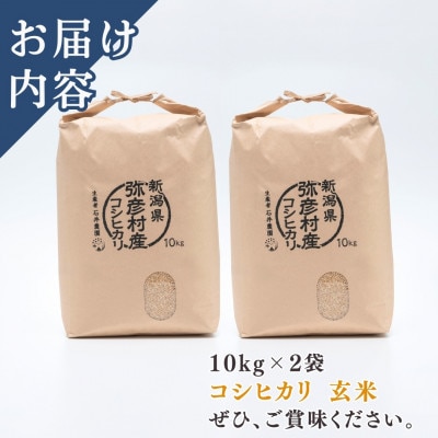 【令和8年産 新米受付】新潟県弥彦村石井農園　コシヒカリ【玄米 20kg】