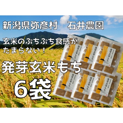 ぷちぷち食感がたまらない「発芽玄米餅」　6袋　新潟県弥彦村産「こがねもち」100%使用