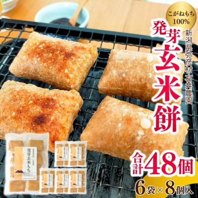 ぷちぷち食感がたまらない「発芽玄米餅」　6袋　新潟県弥彦村産「こがねもち」100%使用