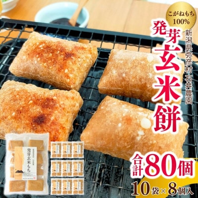 ぷちぷち食感がたまらない「発芽玄米餅」　10袋　新潟県弥彦村産「こがねもち」100%使用