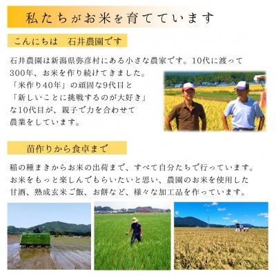 【乾燥米こうじ 500g×8袋】新潟県弥彦村 石井農園 新潟県認証特別栽培米 コシヒカリ使用