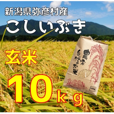 新潟県弥彦村石井農園　令和7年産 こしいぶき【玄米 10kg】