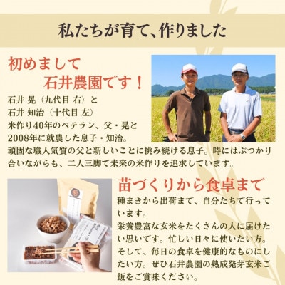 熟成3日寝かせ 発芽玄米パックご飯　新潟県弥彦村産コシヒカリで作った酵素玄米【簡易包装10個入り】