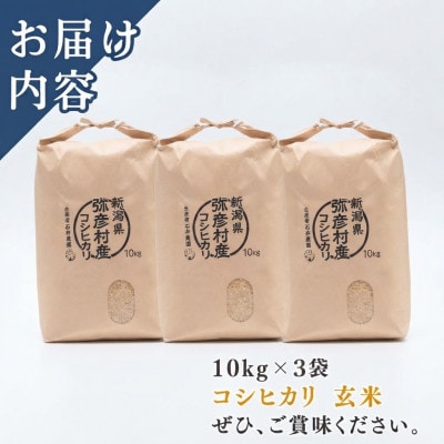 【令和8年産 新米受付】新潟県弥彦村石井農園　コシヒカリ【玄米 30kg(10kg×3袋)】
