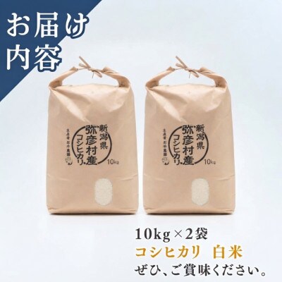 【令和8年産 新米受付】新潟県弥彦村石井農園　コシヒカリ【白米 20kg】